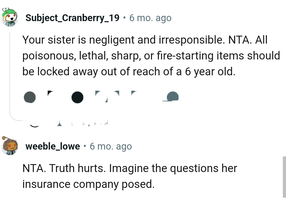 According to this Redditor, OP's sister is negligent and irresponsible