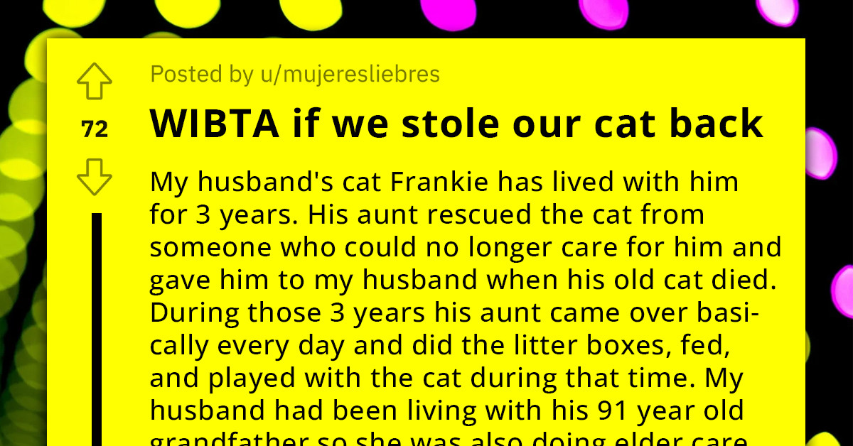 Redditor Wants Their Cat Back From Family Member Who Developed An Attachment With It