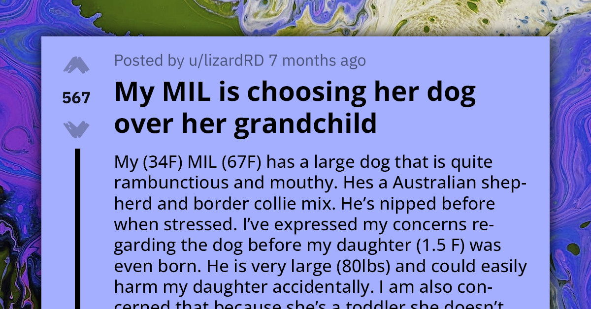 MIL Chooses Dog Over Grandchild By Disregarding Requests To Keep Her Nippy Dog Away From The Baby