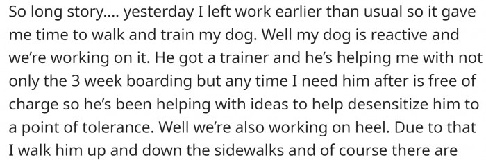 OP has a reactive dog and they are working on that.