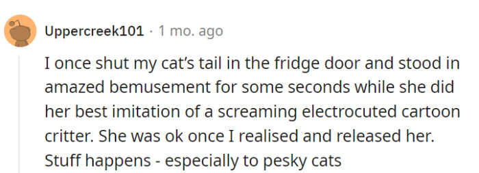 Stuff happens—that's just it.