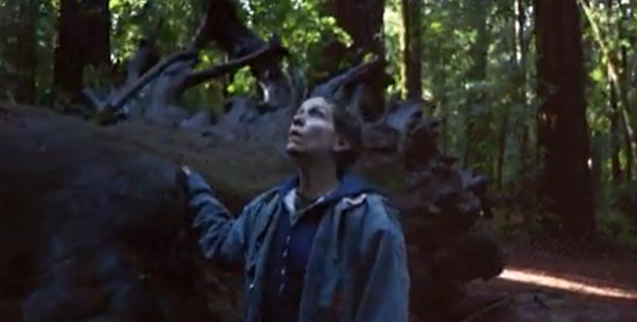 23. Nomadland (2020)