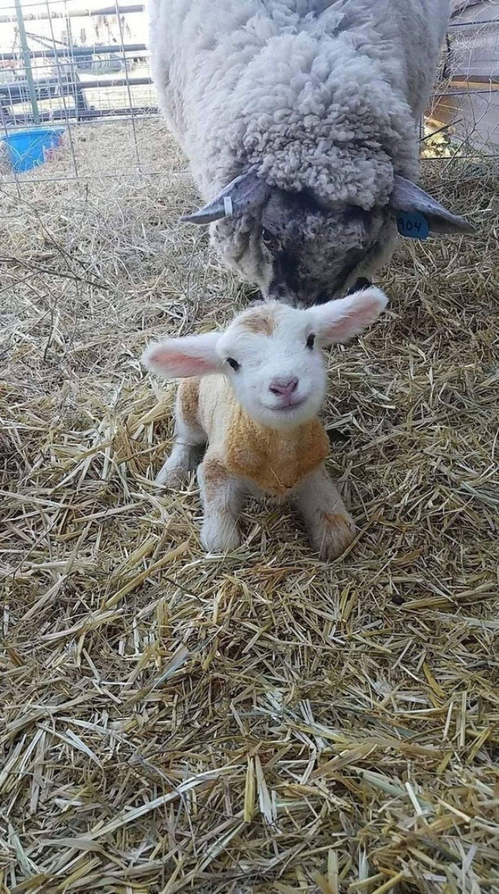 18. “TFW you’re just 15 minutes old.”
