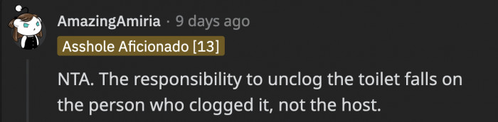 So who’s really responsible when a toilet gets clogged? Well this Redditor, along with those who upvoted this comment agrees that it’s the person that clogged it