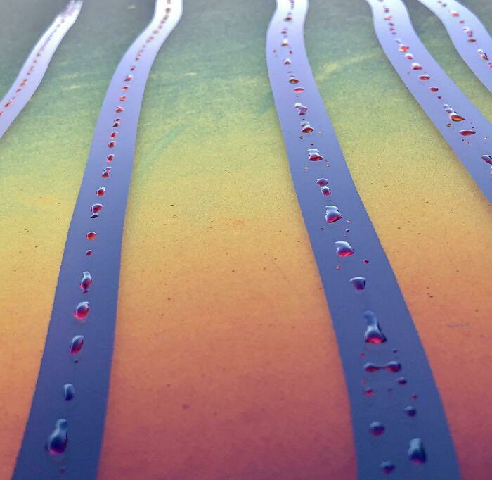 36. ITAP Of Dragging Fingers Over Dew On The Roof Of A Car