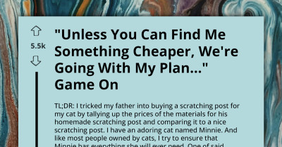 Redditor Shares How Outsmarting His Cheapskate Dad Got His Cat a Brand New Scratching Post