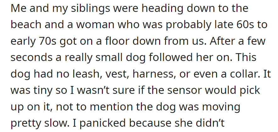 On the way to the beach, OP and their siblings encounter a woman with a small, unleashed dog in the elevator.