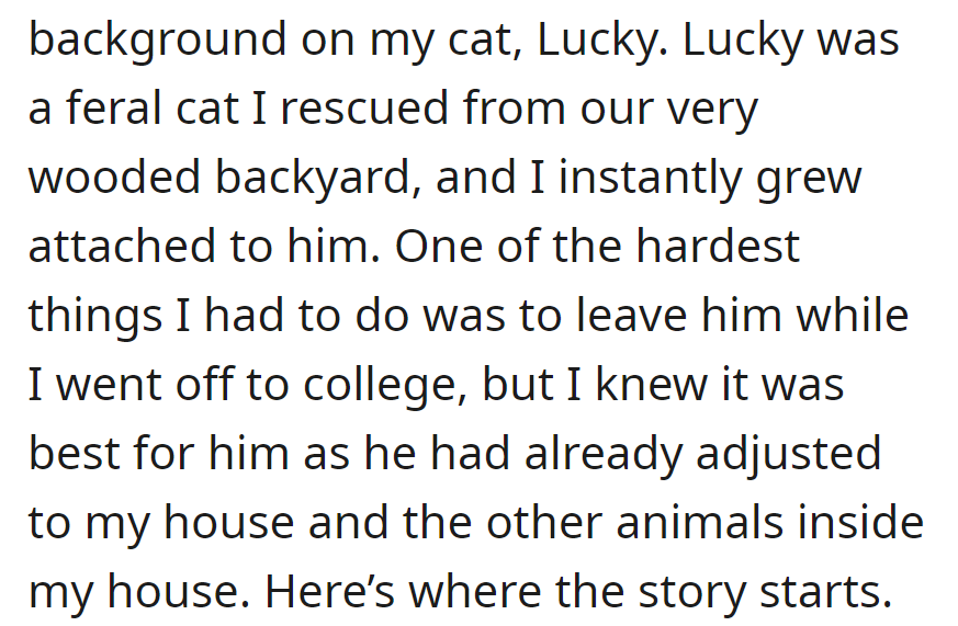 She rescued a feral cat named Lucky from her backyard and grew attached to him. She had to leave for college, which was tough but best for his adjustment at home.