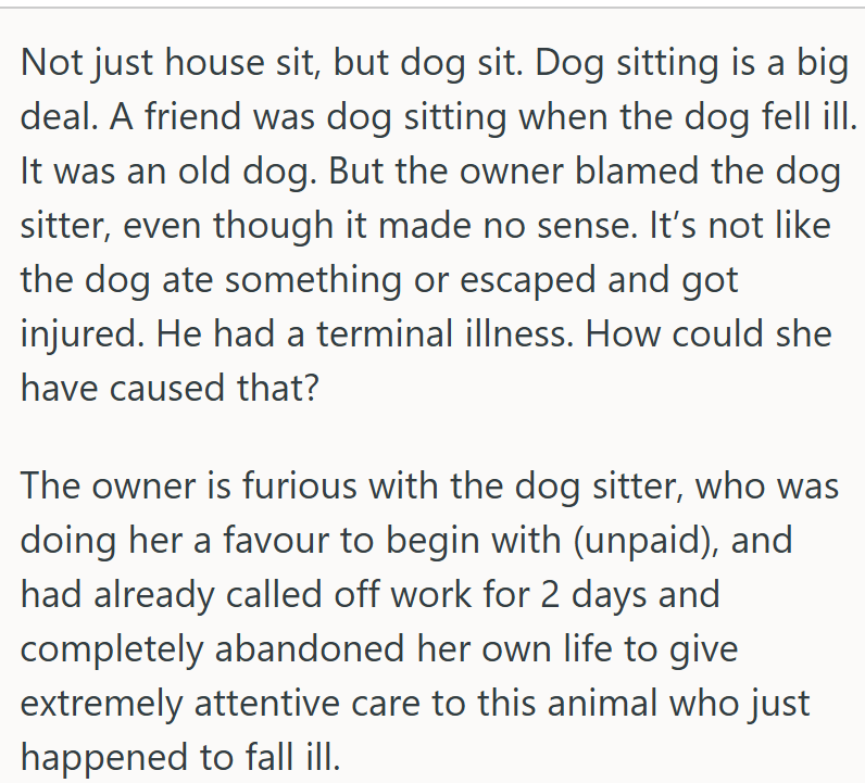 Dog sitting is a big deal