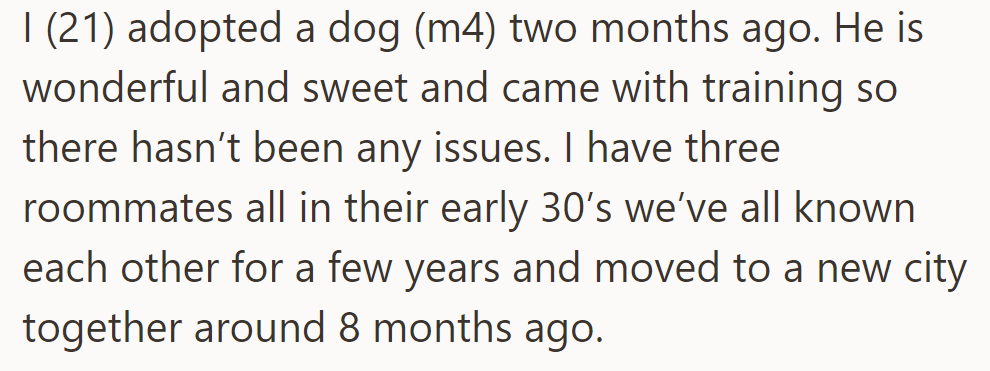 OP adopted a well-trained 4-year-old dog two months ago and is living with three roommates in a new city.