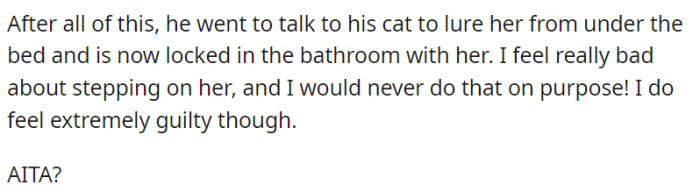 OP's boyfriend retreated with his cat to the bathroom to provide comfort, while she grappled with genuine guilt for the accidental step.