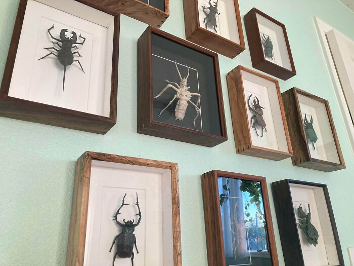 "Custom Framed Origami Insects"