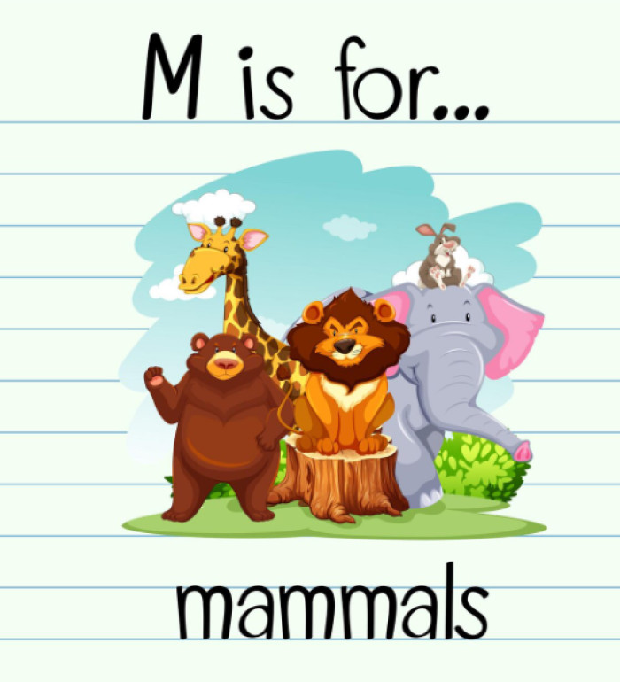 Animal Jokes for Kids