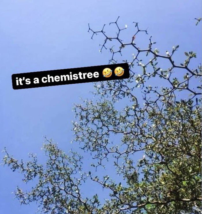 45. Chemistree