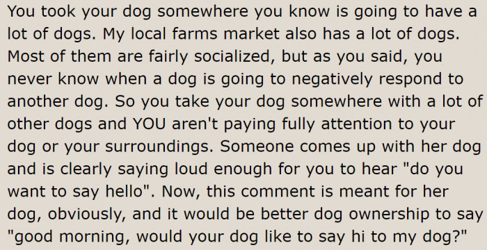 When bringing dogs to places with many dogs, full supervision is necessary.