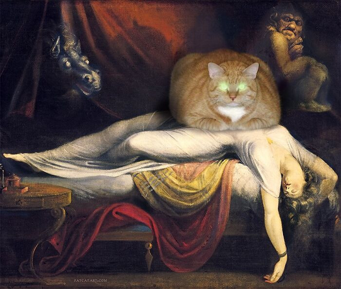 “The Nightmare Cat”