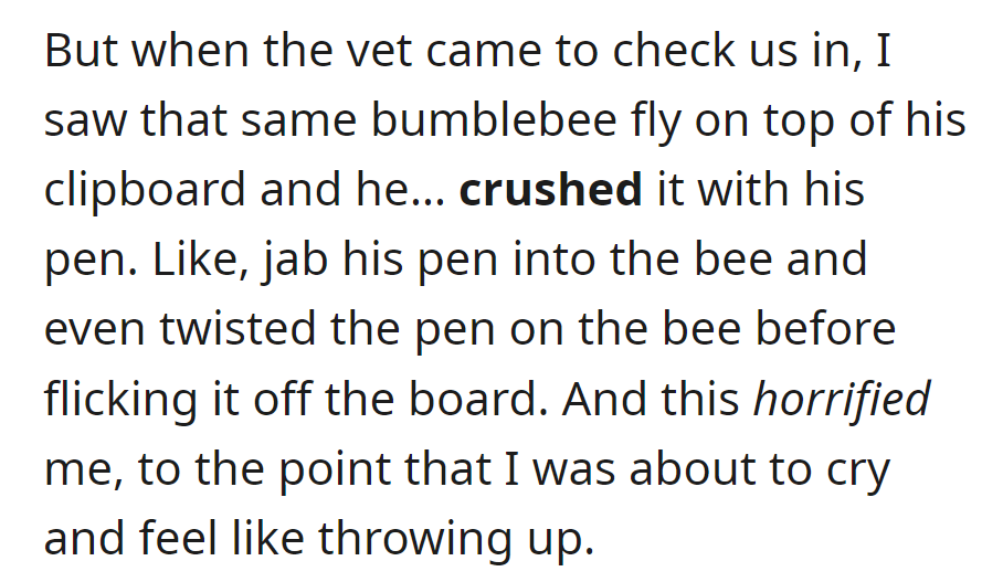 At the vet, the charming bumblebee met a swift end under the vet's pen, leaving OP horrified.