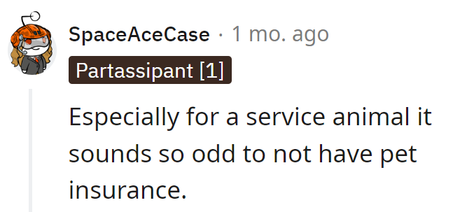 Guess Dixie missed the memo on 'paws' and reflect!