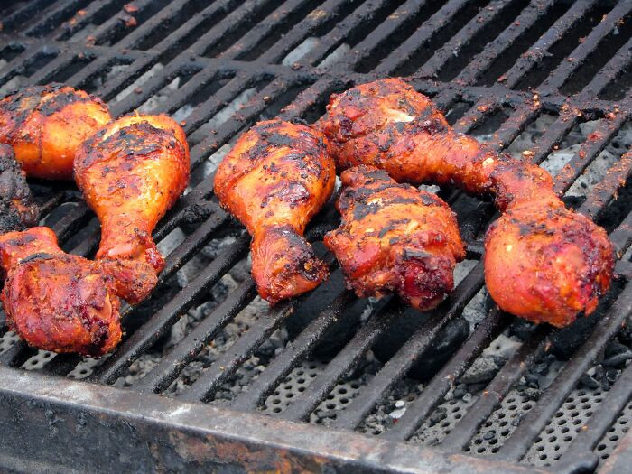 20. “Just the other day we were bbqing chicken legs. ”