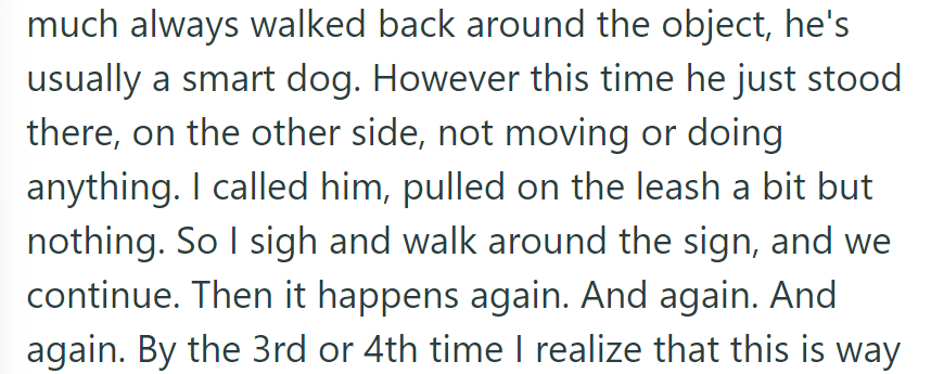 Seems like their dog has a case of 