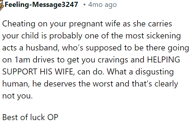 Cheating on your pregnant wife, who needs support and care, is one of the most reprehensible acts a husband can commit.