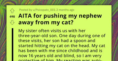 Redditor Provoked A Family Argument By Pushing Their Nephew Away From Their Cat