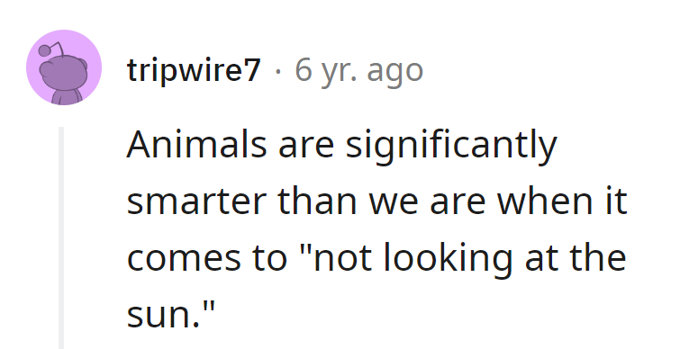 Guess animals have mastered the art of 'sunsational' self-preservation!