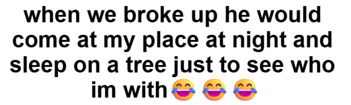 20. Comment by Redditor Jesca Mimmie