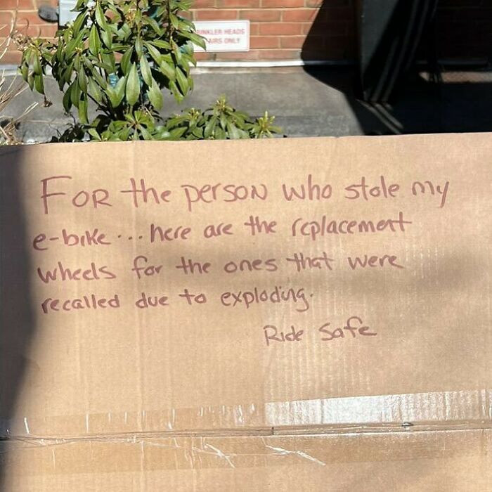8. I'm 99.99% Sure We Found Earth's Friendliest Creature Here! 🌍😄 (Unless This Is Just a Mastermind Plot...) Somewhere in the Neighborhood of Court and Clinton.