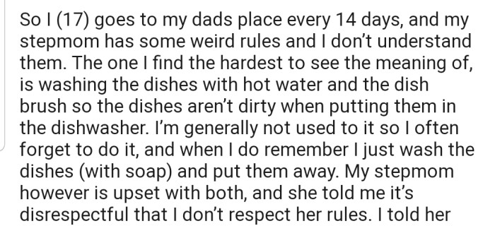 OP's stepmother has some kitchen rules that OP is certainly not comfortable with and doesn't regularly adhere to. Consequently, their stepmother has accused them of being disrespectful