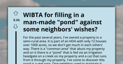 Should I Fill In Problematic Pond Despite Neighbor Objections - Redditor Asks