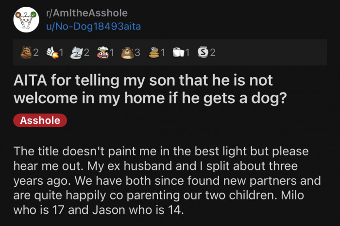 Here's the original post by Reddit user u/No-Dog18493aita: