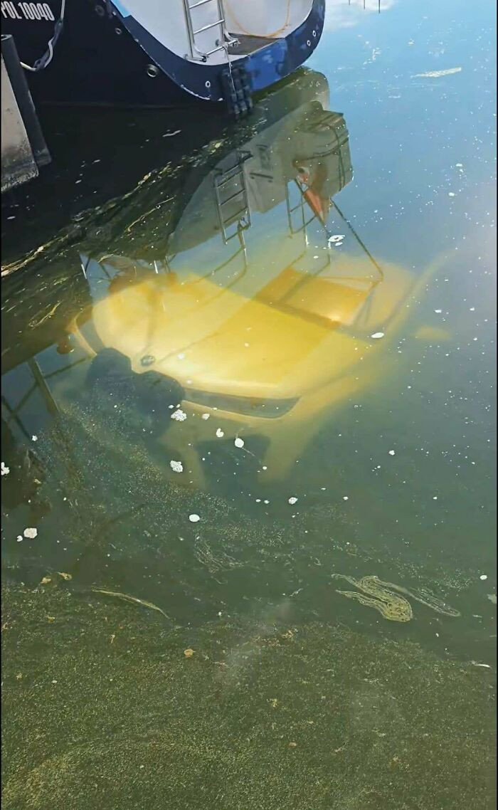 "BMW iX In The Water"