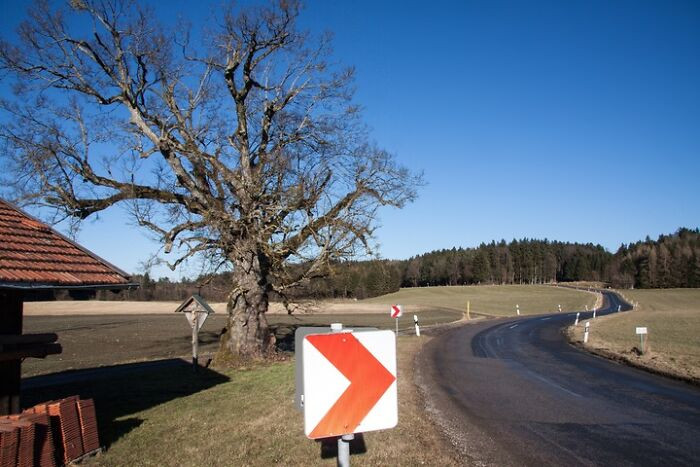 16. “Road reflectors. Countless lives saved.”