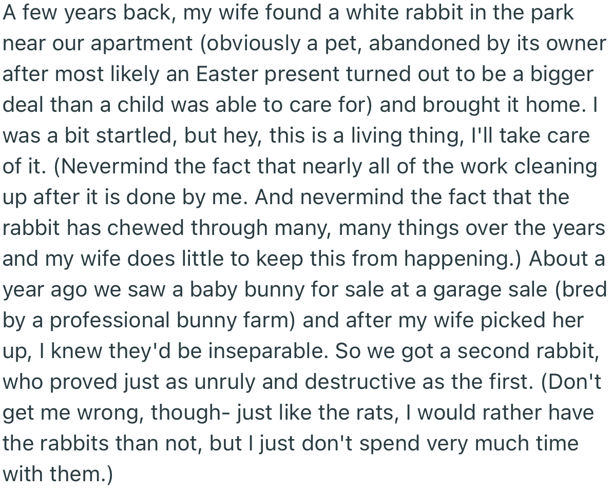 Some time ago, OP’s wife found an abandoned rabbit and brought it home. Ever since, they’ve been catering to it and even got it a companion