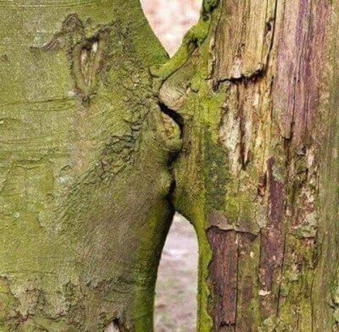 17. This kiss is certified by nature