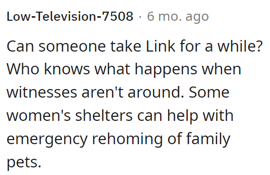 Redditors ask if someone can take Link for a while.