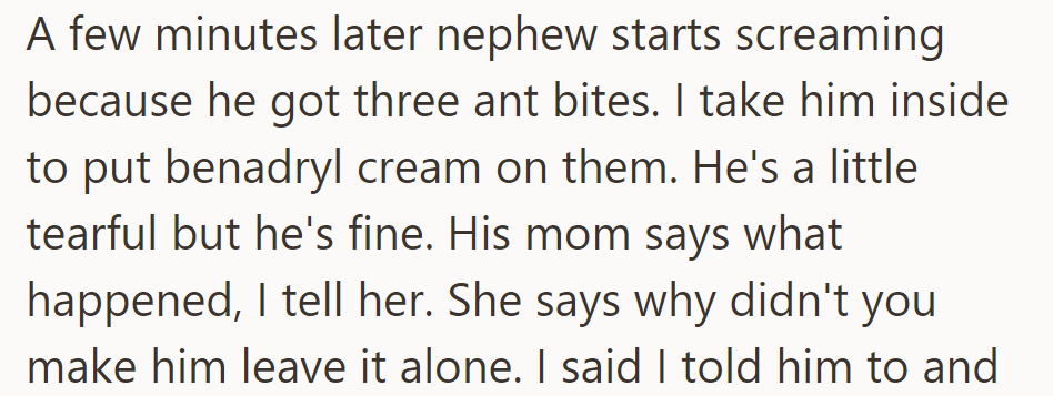 The Nephew Eventually Gets Ant Bites, and the Mom Blames OP for Not Stopping Him.
