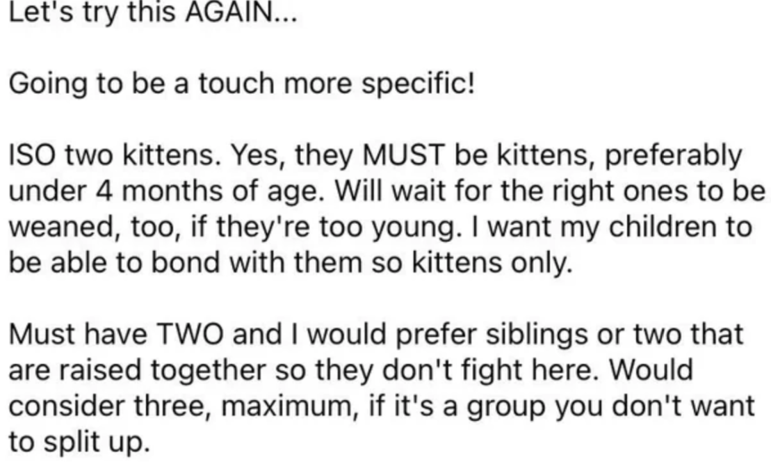 This lady made an interesting post on Facebook, requesting two kittens