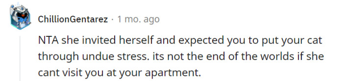 Given that your cousin invited herself and expected you to put your cat through unnecessary stress, it's understandable that you feel it's not worth compromising your pet's well-being. If your cousin is unable to respect your boundaries and visit without causing distress to your cat, it may be best to find alternative ways to spend time together that prioritize everyone's comfort.