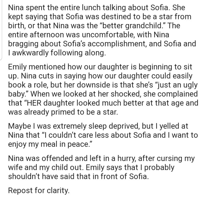 OP's Sister Spent the Entire Lunch Praising Her Kid While Talking Down on OP's Daughter. OP Couldn't Hold in the Frustration Any Longer and Lashed Out, Forcing Their Sister to Leave in Anger