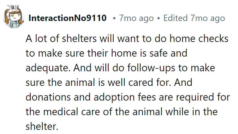 Looks like shelters have a 'paw-tection plan'—they're like the ultimate pet insurance!