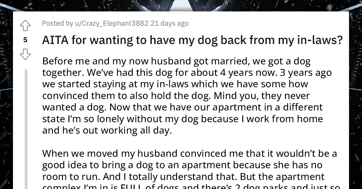 Redditor Leaves Her Dog With In-Laws Until She Finds Pet-Friendly Apartment, Now They Won't Give It Back
