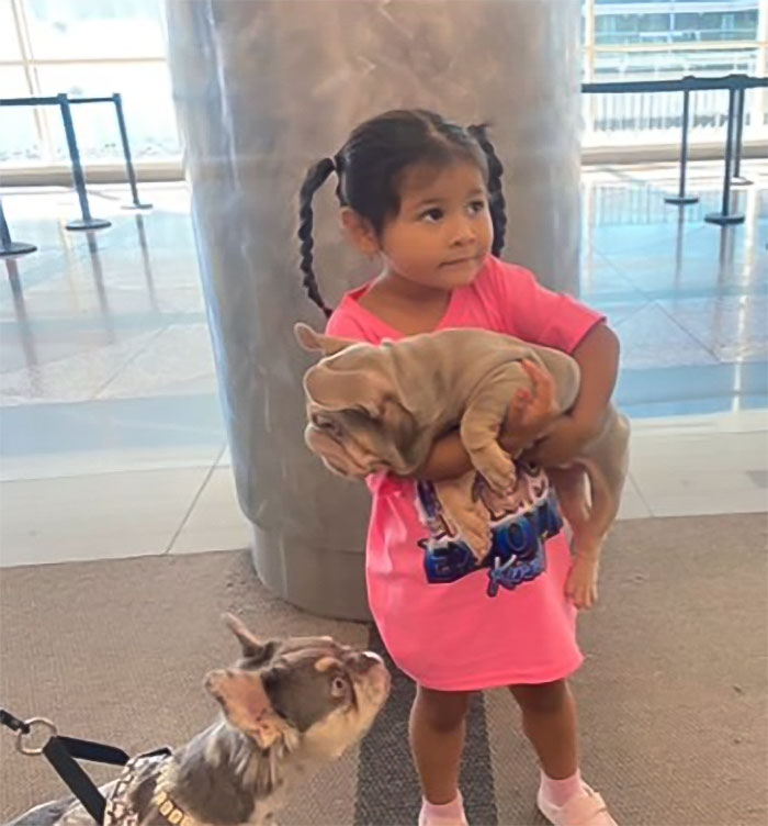 Yohana posted a video to her TikTok profile of her family picking up their pricey, wrinkled puppy