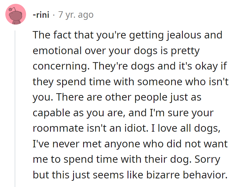 Jealous over dogs? That's barking up the wrong tree!