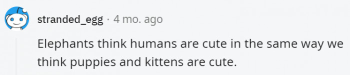 38. Coming from elephants, this is a huge compliment