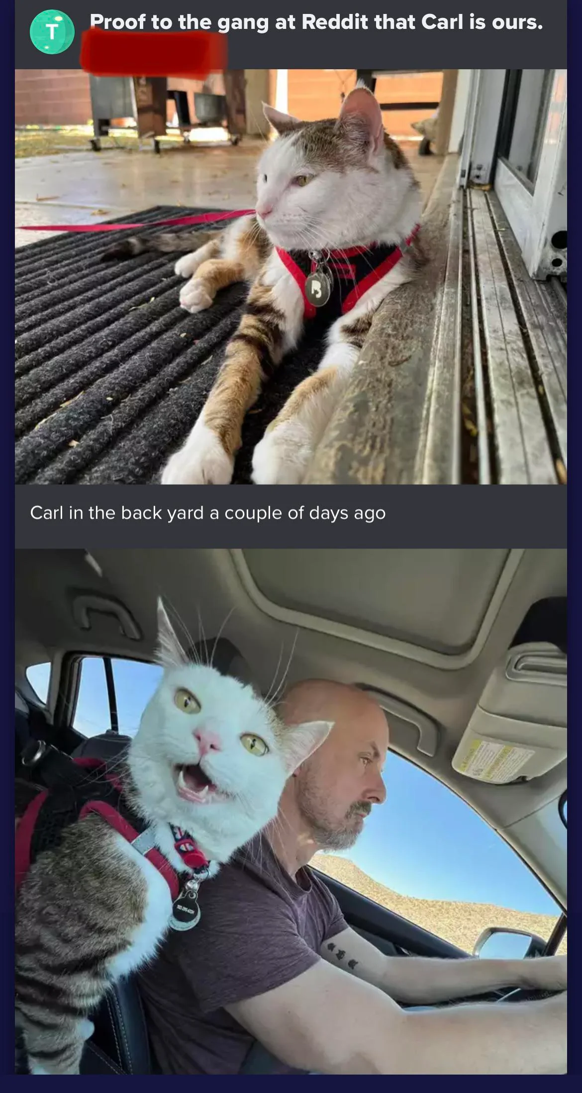 Turns out the original poster was just chasing clout