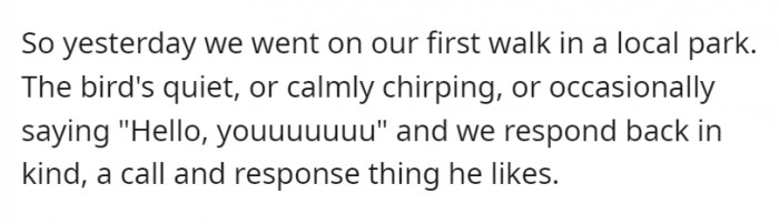 The couple went on their first walk—so far, so good. The parrot was calm and cheerful.