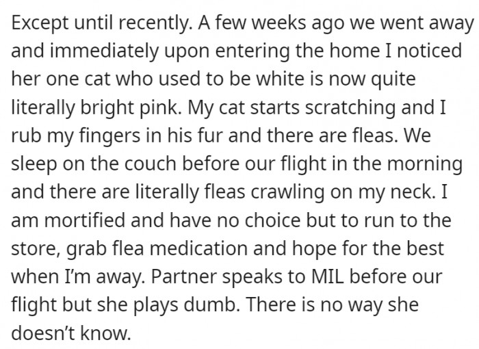 But they eventually discovered their MIL's home was riddled with fleas