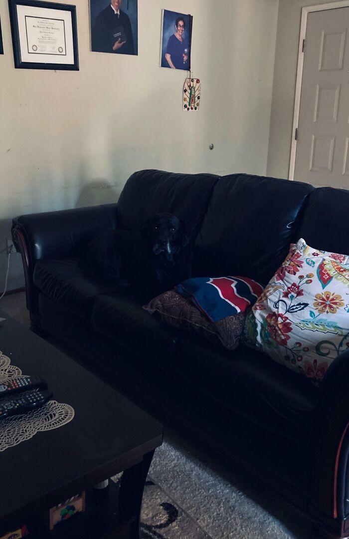 "I was yelling my dog's name for over 20 minutes looking for him, but he never responded..."
